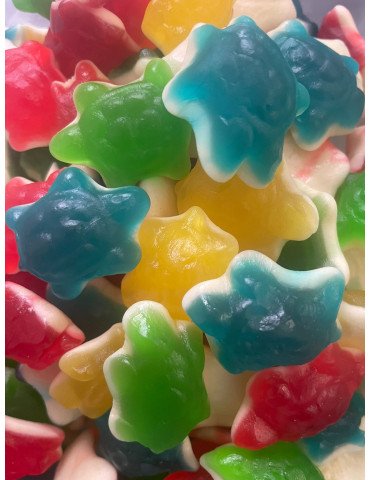 Tortues lisses -100g