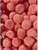 Mûres perlées roses -100g