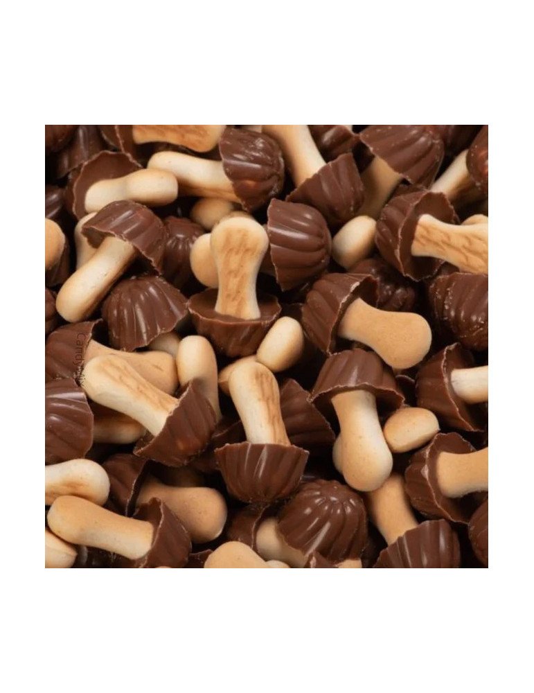 Champignons au chocolat noir (100G)
