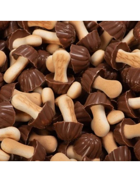 Champignons au chocolat noir (100G)